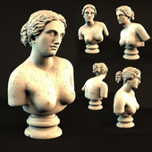 Aphrodite bust
