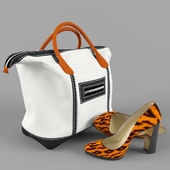 bag and shoes