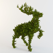 Bush - the Wood deer