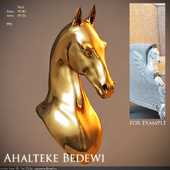 Portrait of horse of akhal