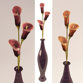 Vase with calla lilies