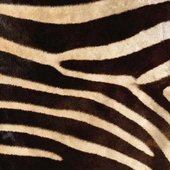 текстура зебры