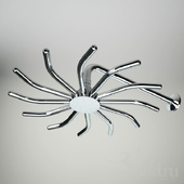 Shower Head