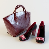 LV bag and shoes