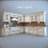 Aster / Opera