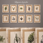 Сборник из 10 картин "Legumes du jardin"