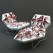 Antibodi Moroso Flower
