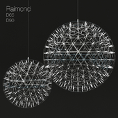 Raimond D90_D65