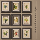 "PROFI" Картины "Vintage Botanique/ Vigne"