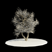 tree-snow v3 / дерево в снегу v3
