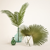 palm leaves in a vase