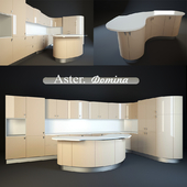 kitchen factory Aster