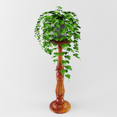plant on a stand