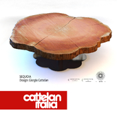Cattelan sequoia