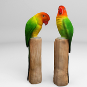 &quot;Parrots lovebirds&quot;