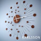 Karlsson remote discs