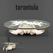 Coffee table - tarantula