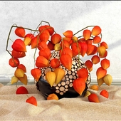 physalis_in_a_vase