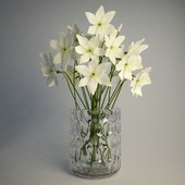 Vase Godkanna & Narcissus