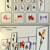 Bridgeman Images &quot;Flowers&quot;