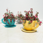 flowers in vases, cups (cup flower pots)