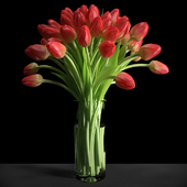 Красные тюльпаны/Red tulips