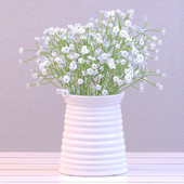 Baby&#39;s breath in a vase
