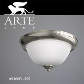 Ceiling light Arte Lamp A9366PL-2SS