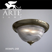 Потолочный светильник Arte Lamp A9366PL-2AB