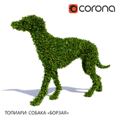 Топиари: Собака "Борзая"