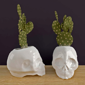 Ceramic Skull Planter