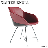 Walter Knoll Turtle