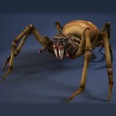 Паук-гнилец / rotten-spider