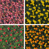 texture flower beds