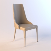 Chair SHANTAL