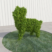 Lamb - topiary