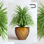 Bush 102