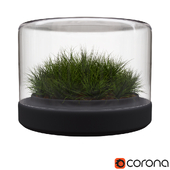 Vase with grass