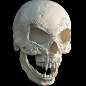 Skull Vampire