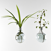 Plants in lamps