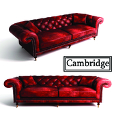 Cambridge chester Sofa + fur Carpet + Monalisa Painting