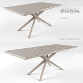 Signal