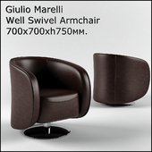Giulio_Marelli_Well