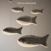 Fish by Naturalist