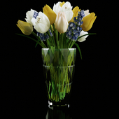 Bouquet of tulips and muscari