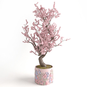pink cherry tree in pink tub with a bas-relief