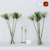 shoots of papyrus in a glass vase