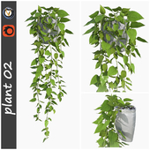 plant 02
