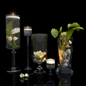 Plants in glass vases