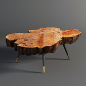Wood slab coffee table